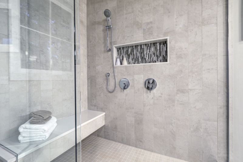 Minimalist Shower with Recessed Shelves